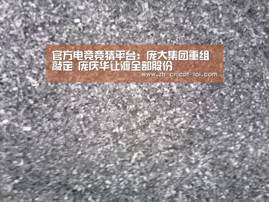 官方电竞竞猜平台:庞大集团重组敲定 庞庆华让渡全部股份(图3) 官方电竞竞猜平台