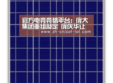  官方电竞竞猜平台：庞大集团重组敲定 庞庆华让渡全部股份