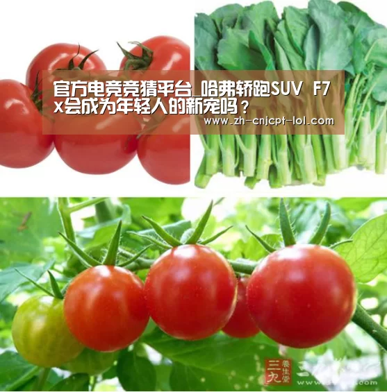 官方电竞竞猜平台_哈弗轿跑SUV F7x会成为年轻人的新宠吗?