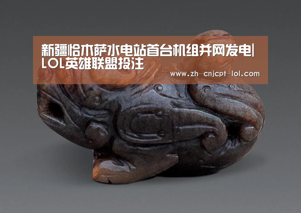 新疆恰木萨水电站首台机组并网发电|LOL英雄联盟投注
