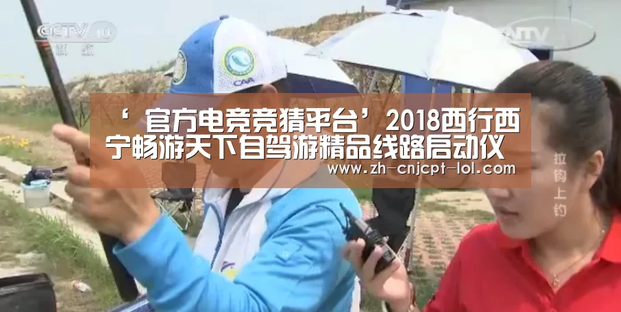  官方电竞竞猜平台