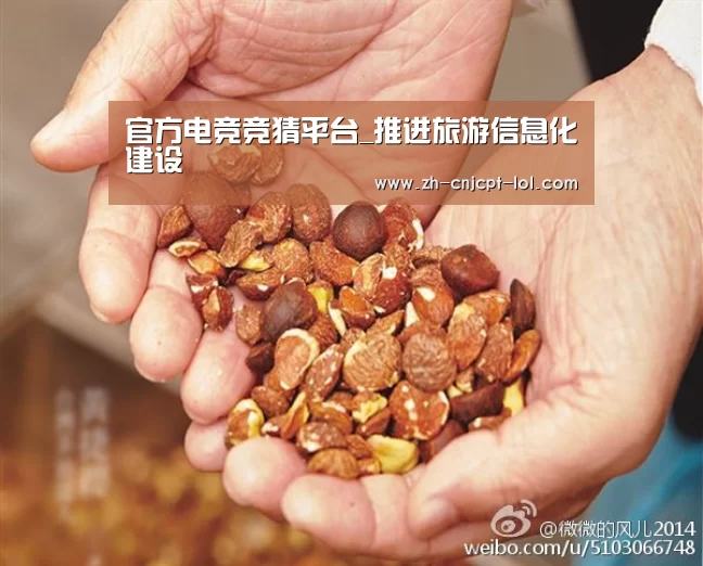  官方电竞竞猜平台