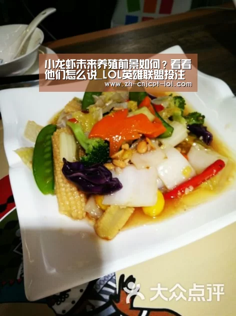 小龙虾未来养殖前景如何?看看他们怎么说_LOL英雄联盟投注