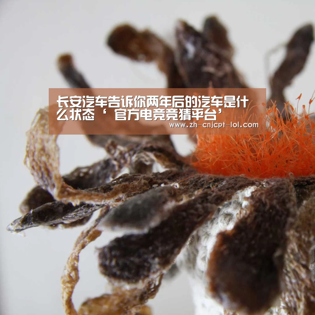 长安汽车告诉你两年后的汽车是什么状态‘ 官方电竞竞猜平台’(图2) LOL英雄联盟投注