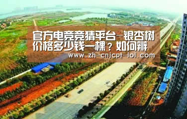官方电竞竞猜平台-银杏树价格多少钱一棵?如何辨别银杏树的雌雄?(附管理要点)(图2) LOL英雄联盟投注