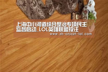 上海中小河道综合整治专项民主监督启动_LOL英雄联盟投注 (图4) LOL英雄联盟投注