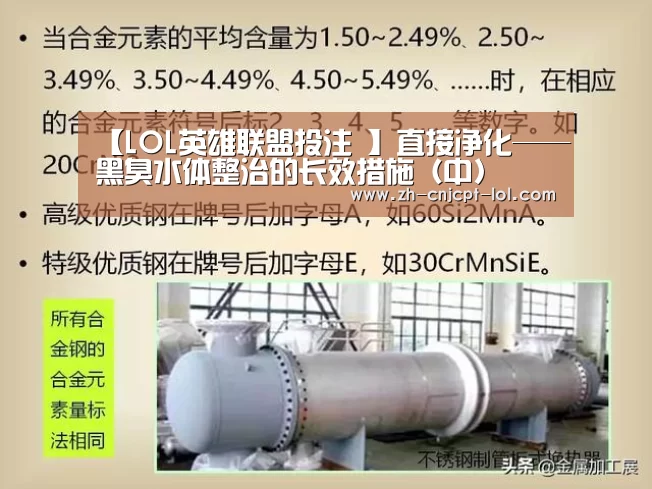 【LOL英雄联盟投注 】直接净化——黑臭水体整治的长效措施(中)(图3) LOL英雄联盟投注