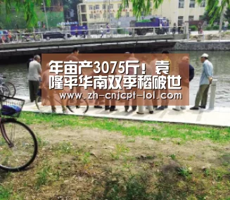 年亩产3075斤!袁隆平华南双季稻破世界纪录-LOL英雄联盟投注 (图4) LOL英雄联盟投注